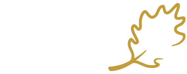 GutterRx — The Cure for Your Clogged Gutters